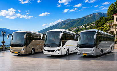 Buses & Coaches